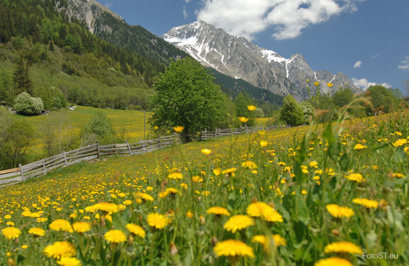 Hotels Und Pensionen In Antholz Hotels Und Pensionen In Antholz