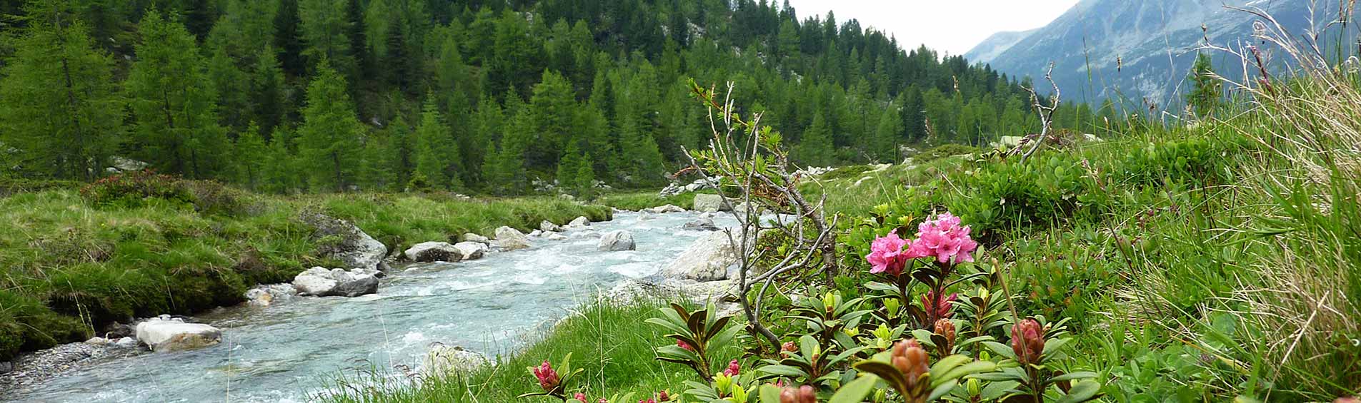 Naturpark RieserfernerAhrn in Antholz, Pustertal