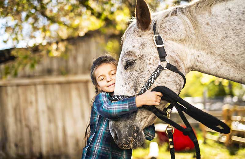 Urlaub auf dem Bauernhof