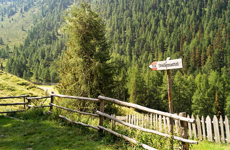 Zur Staller Alm am Staller Sattel