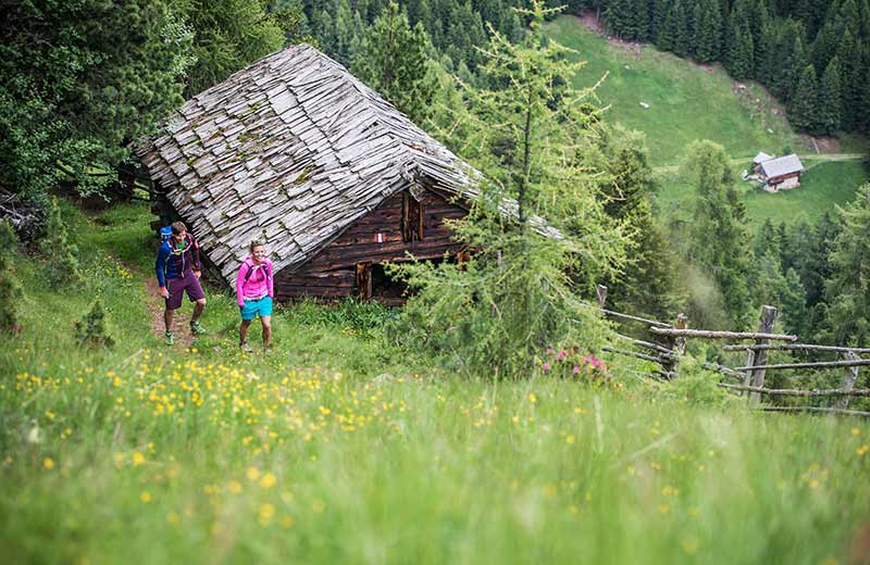 Wandern im Antholzertal